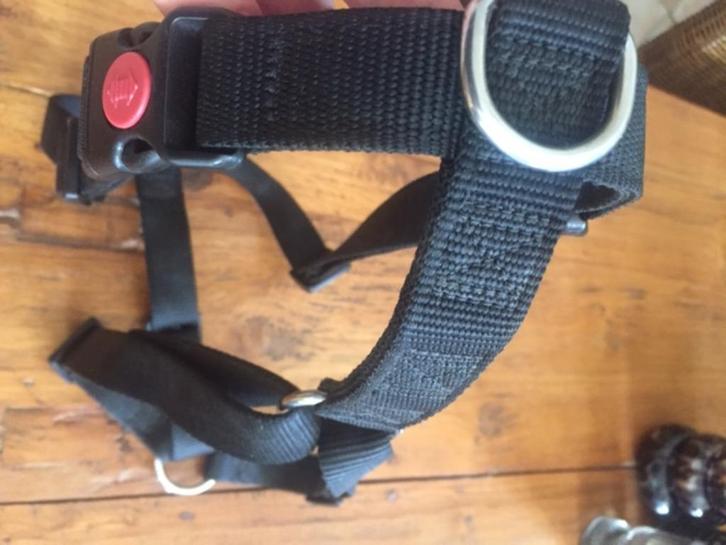 Tuig voor (middelgrote) hond, zwart, Dieren en Toebehoren, Hondenhalsbanden en Penningen, Gebruikt, Ophalen of Verzenden