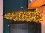 Mooie hoge smalle kerstboom. 2x gebruikt. Zonder lichtjes!, Diversen, Kerst, Ophalen of Verzenden, Zo goed als nieuw