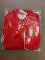 Ferrari dun dames bomberjack - Maat M., Kleding | Heren, Jassen | Zomer, Ophalen of Verzenden, Nieuw, Maat 48/50 (M)