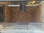 Terrarium's, Dieren en Toebehoren, Ophalen, Gebruikt