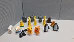 Duplo dierentuin dieren, Kinderen en Baby's, Speelgoed | Duplo en Lego, Ophalen of Verzenden, Gebruikt, Duplo