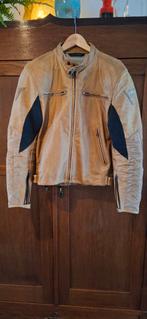 Dainese motorpak zgan, jas mt50, broek mt48, aanritsbaar, Motoren, Kleding | Motorkleding, Ophalen of Verzenden, Tweedehands, Combipak