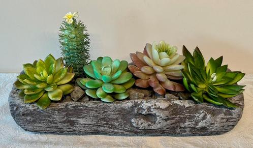 Vetplantjes in bakje ., Huis en Inrichting, Woonaccessoires | Schalen en Manden, Zo goed als nieuw, Rechthoekig, Steen of Aardewerk