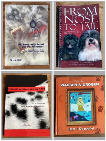 Vachtverzorging en trimmen hond - Rita Pouw / Noel Hynds beschikbaar voor biedingen