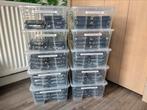 SALE: 4TB t/m 12TB NAS & SERVER HARDE SCHIJVEN NIEUW!, Computers en Software, Intern, N.v.t., Nieuw, Ophalen of Verzenden