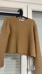 ZARA DAMES TRUI MAAT M, Ophalen of Verzenden, Zo goed als nieuw, Maat 38/40 (M)