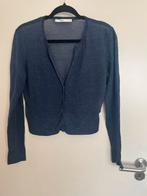 Vesten exptesso/Steps/Mango/Millen&Monroe, Ophalen of Verzenden, Gedragen, Maat 42/44 (L), Blauw