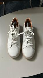 Hush puppies 44, Ophalen, Nieuw, Sneakers of Gympen