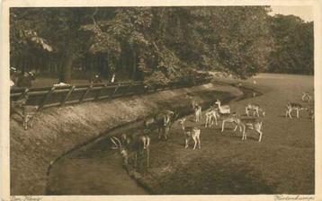 (301-063-037) Den Haag Hertenkamp beschikbaar voor biedingen