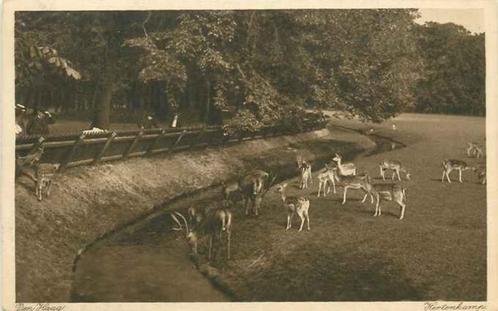 (301-063-037) Den Haag Hertenkamp, Verzamelen, Ansichtkaarten | Nederland, Zuid-Holland, Verzenden