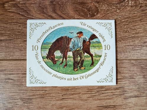 Set van 10 Prentbriefkaarten - Ol Grunneger, Verzamelen, Ansichtkaarten | Nederland, 1960 tot 1980, Ophalen of Verzenden