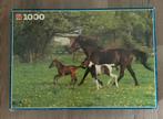 Paarden puzzel, Ophalen, 500 t/m 1500 stukjes, Zo goed als nieuw