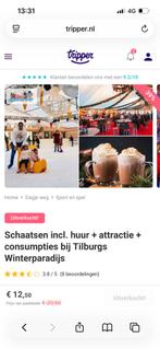 Tickets schaatsen Tilburgs Winterparadijs 3x, Drie personen of meer, Ticket of Toegangskaart