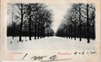 AMSTERDAM - VONDELPARK, Ophalen of Verzenden, Voor 1920, Gelopen, Noord-Holland