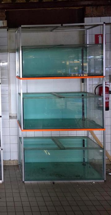 Kweekstelling 120x60x250cm beschikbaar voor biedingen