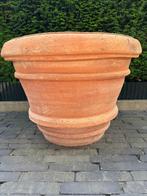 Grote Magnifieke Exclusieve Impruneta Terracotta Bloempot, Ophalen, Gebruikt, 40 cm of meer, Tuin