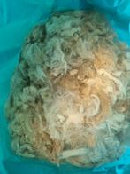 Alpaca's wol, Dieren en Toebehoren, Schapen, Geiten en Varkens, Meerdere dieren, Schaap
