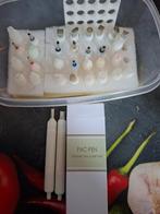 2 Pac Pennen + Klei Figuurtjes & Bloemetjes, Ophalen of Verzenden, Zo goed als nieuw, Gereedschap of Toebehoren