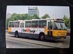 1 foto ZuidOoster bus 2466 10x15 cm, Verzamelen, Spoorwegen en Tramwegen, Ophalen of Verzenden, Zo goed als nieuw, Bus of Metro