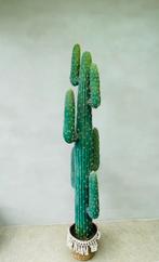 XXL kunst cactus, Ophalen of Verzenden