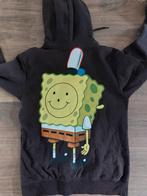 Leuke hoodie maat XS, Ophalen of Verzenden, Zo goed als nieuw, Trui of Vest
