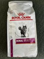 Royal canin Feline renal zak 2 kilo, Dieren en Toebehoren, Dierenvoeding, Hond, Ophalen