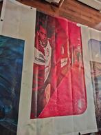 Feyenoord, Maat XL, Ophalen of Verzenden, Overige typen