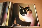 Ich, Katze - Fotoboek Katten, Ophalen of Verzenden, Gelezen, Katten