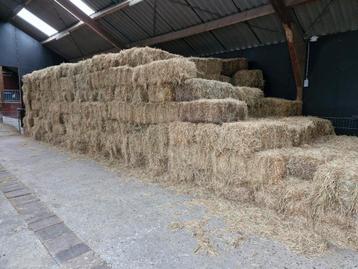 Paarden hooi  2024 vrij van kunstmest en bestrijdingmiddelen beschikbaar voor biedingen