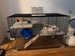 Hamsterhok Ferplast 100 100x60x40, Dieren en Toebehoren, Ophalen, 60 tot 90 cm, Hamster, Zo goed als nieuw