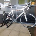 Goed onderhouden Colnago racefiets, Overige merken, 26 inch, Carbon, Gebruikt