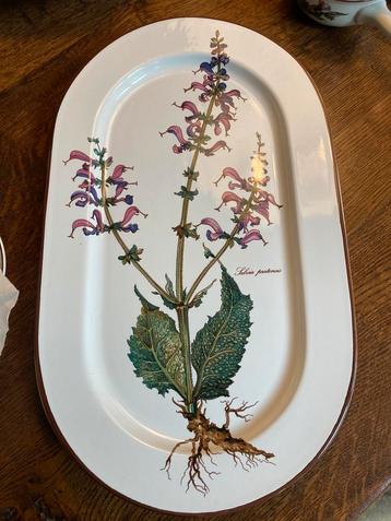 Villeroy & Boch Botanica royale serveerschaal 40x23 beschikbaar voor biedingen
