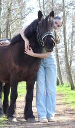 Te koop a/b pony, Dieren en Toebehoren, Gechipt, Ruin, Niet van toepassing, B pony (1.17m tot 1.27m)