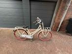 Cortina Lief Omafiets Damesfiets, 53 tot 56 cm, Ophalen, Gebruikt, Handrem
