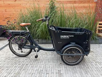 Babboe Curve E Elektrische Bakfiets beschikbaar voor biedingen