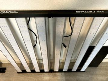 Led OCL Skwid Pro 1900, 3 stuks beschikbaar voor biedingen