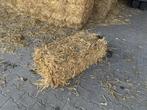 stro in kleine balen, Dieren en Toebehoren, Ophalen, Vee