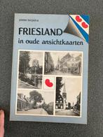 FRIESLAND IN OUDE ANSICHTKAARTEN, Boeken, Ophalen of Verzenden, P TERPSTRA, 20e eeuw of later, Gelezen