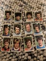 Vitesse panini vanderhout 1979-1980, Ophalen of Verzenden, Gebruikt, Vitesse, Poster, Plaatje of Sticker