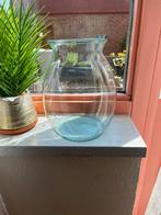 Vaas, Ophalen, Overige kleuren, Minder dan 50 cm, Glas