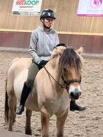 Lease/ Bijrijpaard/pony gezocht, Dieren en Toebehoren, Ophalen of Verzenden, Zo goed als nieuw