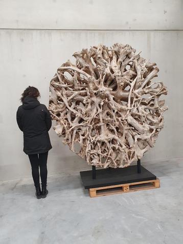 Indrukwekkend sculptuur van natuurlijk wortelhout – uniek beschikbaar voor biedingen