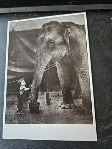 Circus Jongen en Olifant beschikbaar voor biedingen