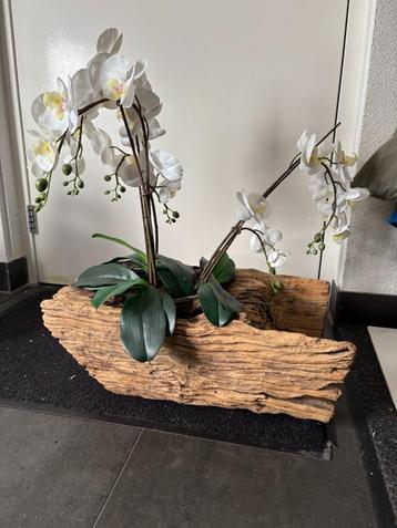 Zware houten boomstronk/bloempot incl 3 zijden orchideen beschikbaar voor biedingen