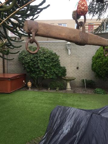 Oude Paardebalk met Plantenhangers beschikbaar voor biedingen