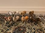 Verschillende Schleich paarden, prijs per stuk, Ophalen of Verzenden