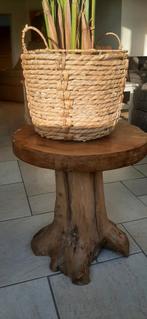 Houten Boomstam Bijzettafel - Natuurlijke Uitstraling, Zo goed als nieuw, Ovaal, Hout, Ophalen