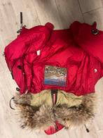 Dsquared2 jas voor dames, Maat 42/44 (L), Ophalen of Verzenden, Zo goed als nieuw, Dsquared2