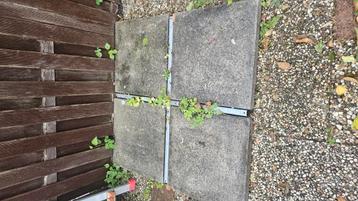 Gratis 50 x 50 cm  beschikbaar voor biedingen