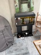 Te koop aquarium met toebehoren, Dieren en Toebehoren, Vissen | Aquaria en Toebehoren, Ophalen, Gebruikt, Leeg aquarium